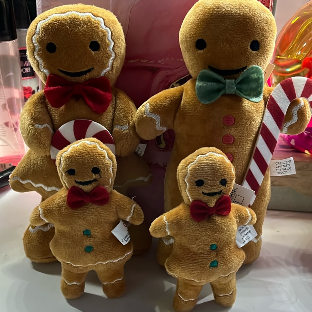 NWT…2023 Christmas ginger family